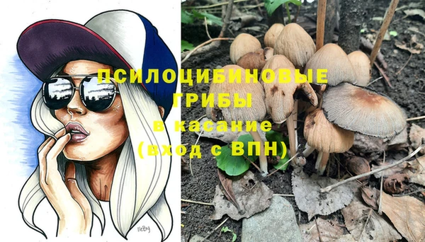 a pvp Алзамай