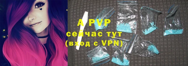 a pvp Алзамай